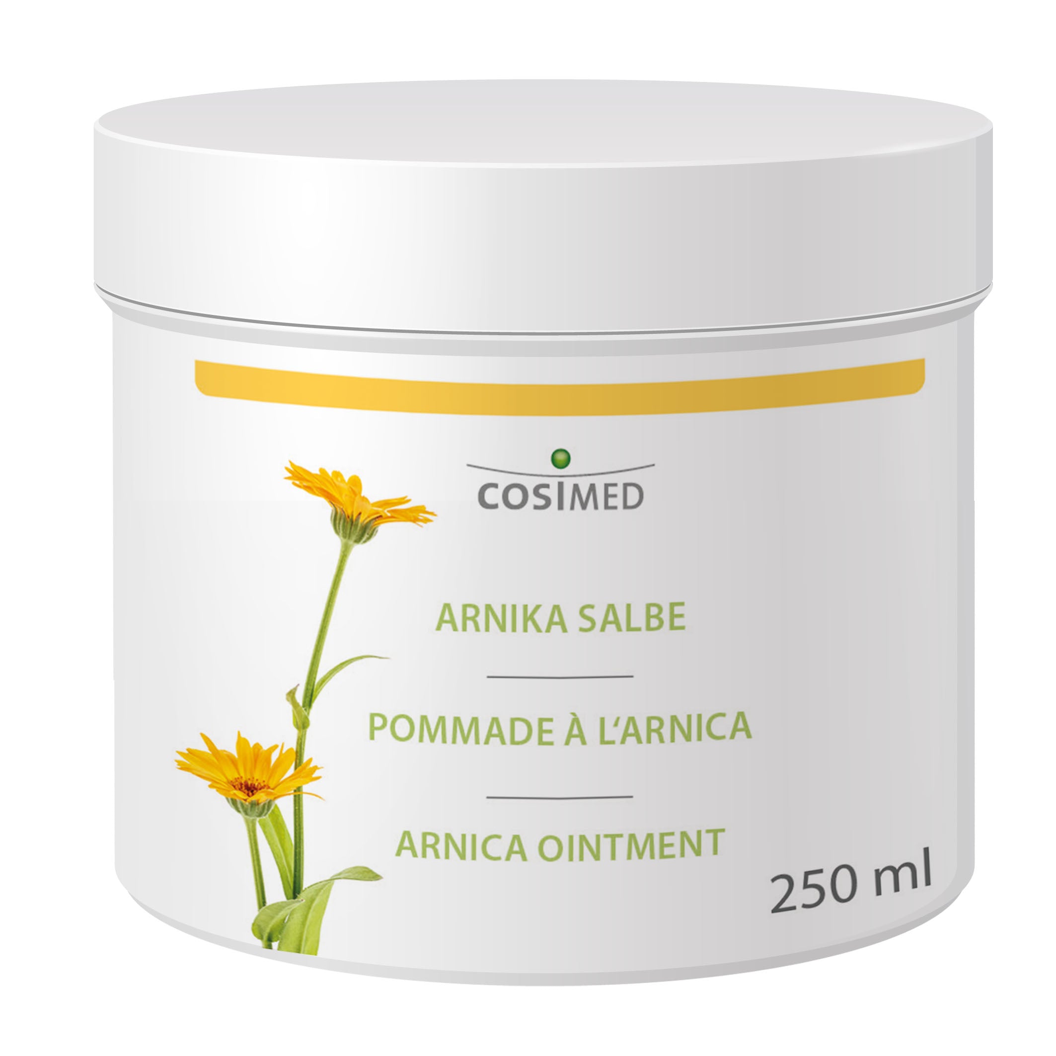 Arnika Salbe 250 ml
