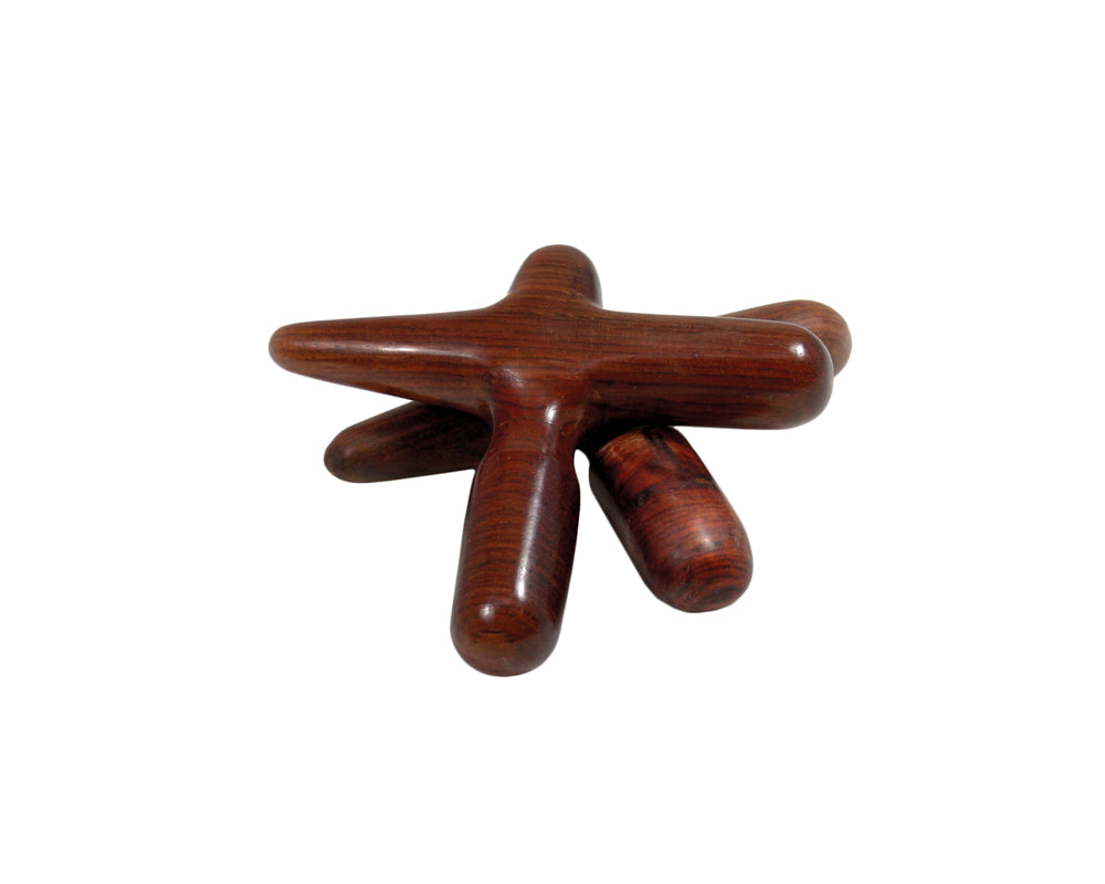 Therapie-Werkzeug aus Hartholz Massagebirdy